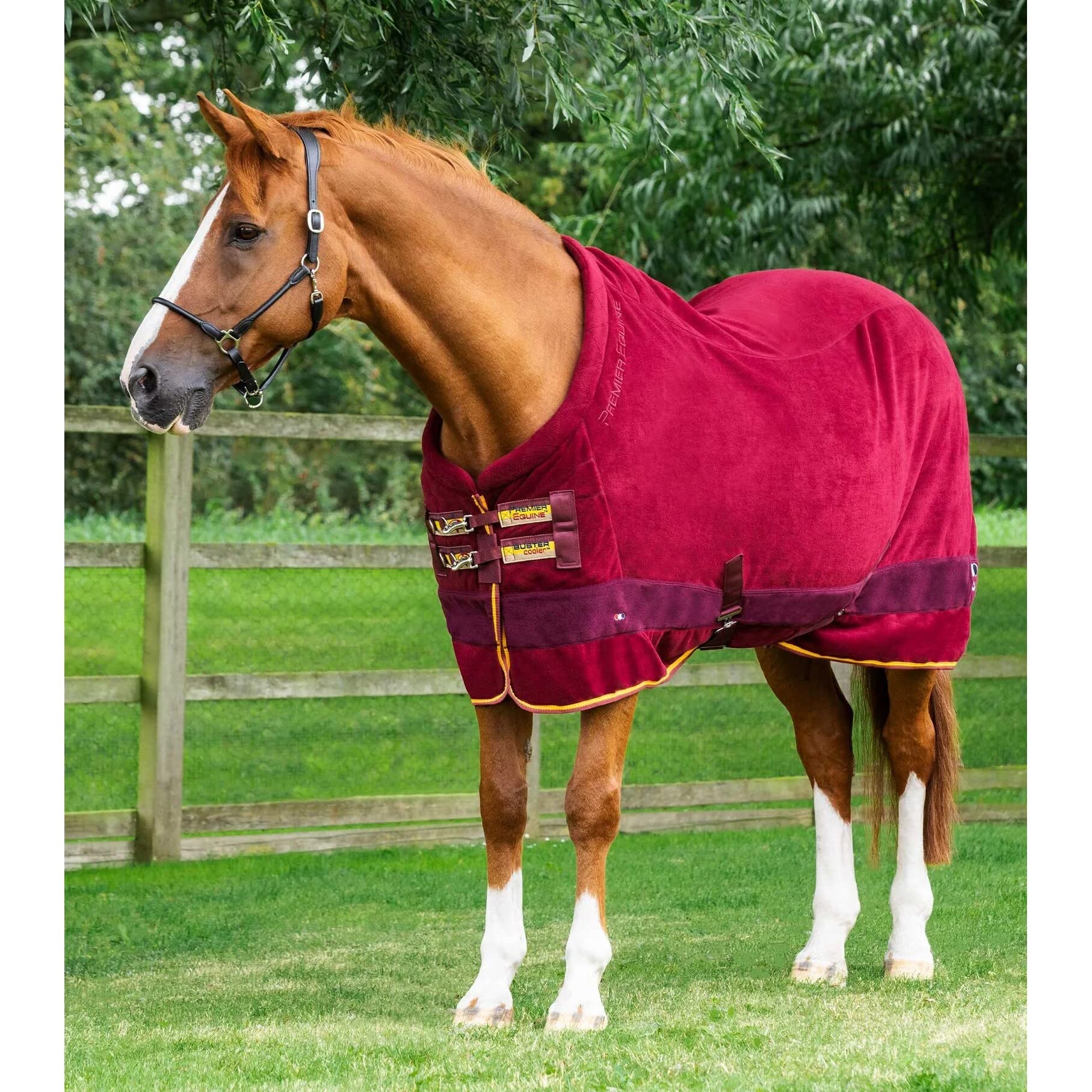 Coperta in pile asciugante per cavalli Premier Equine Buster Continental 280g