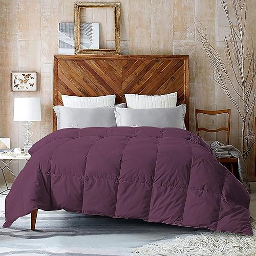 RAJVEER TEXTILE 1 edredón alternativo de plumón para todas las estaciones 400GSM ligero 6 lazos en las esquinas edredón de plumón de ganso de alta