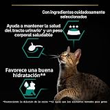 Ver la foto 4