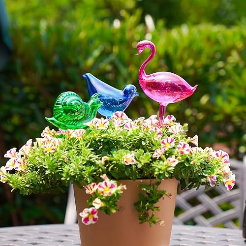 Miniatura 10 de NiHome Bombillas de vidrio con autorriego para plantas, paquete de 3 unidades, perlas iridiscentes, macetas para el hogar, para macetas para regar