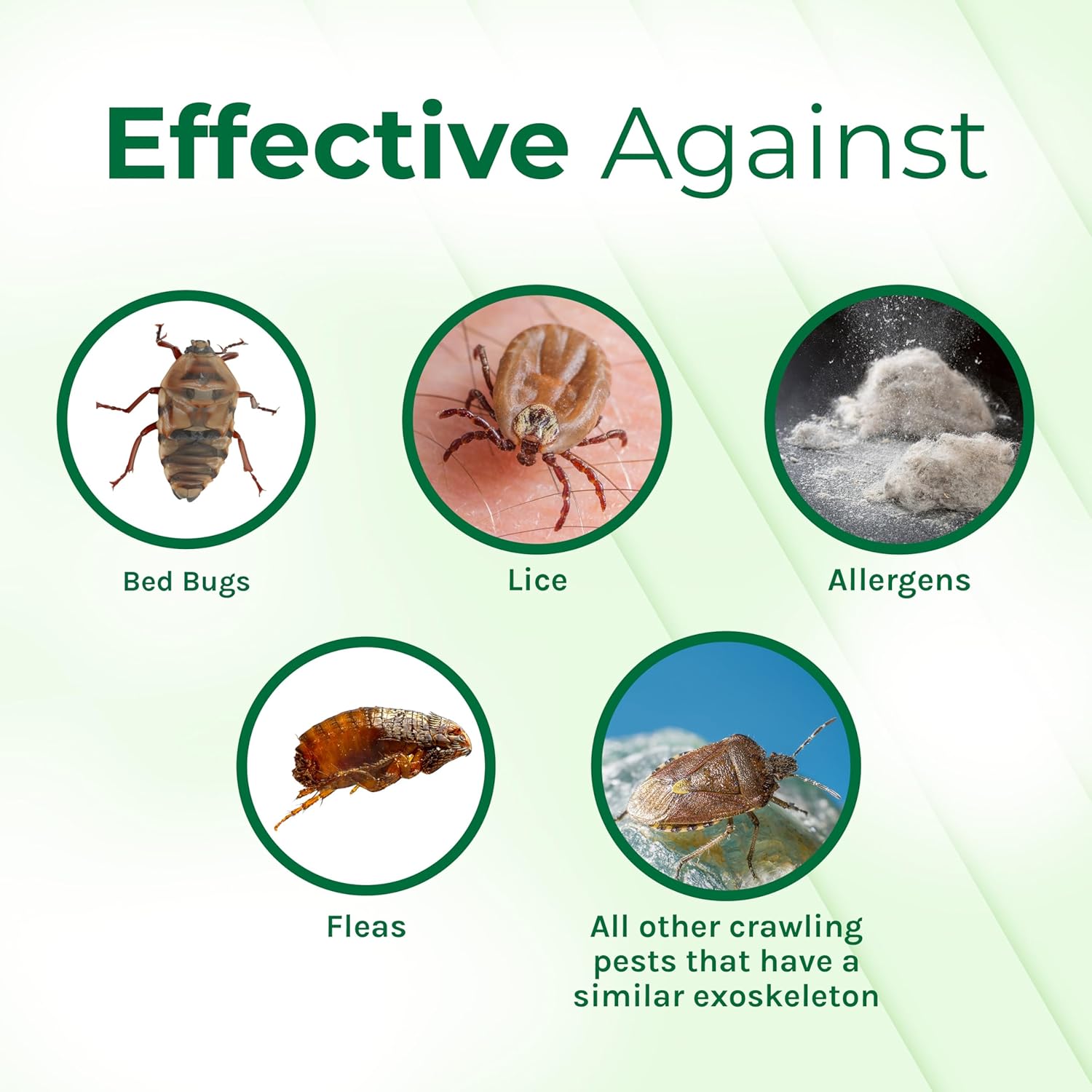 Hygea Natural Lice & Bed Bug Extra Strength Laundry Additive - Environmentally Responsible, Odorless & Stain-Free Liquid Laundry Treatment - Safe for Children & Pets - Any Water Temperature (32 oz)