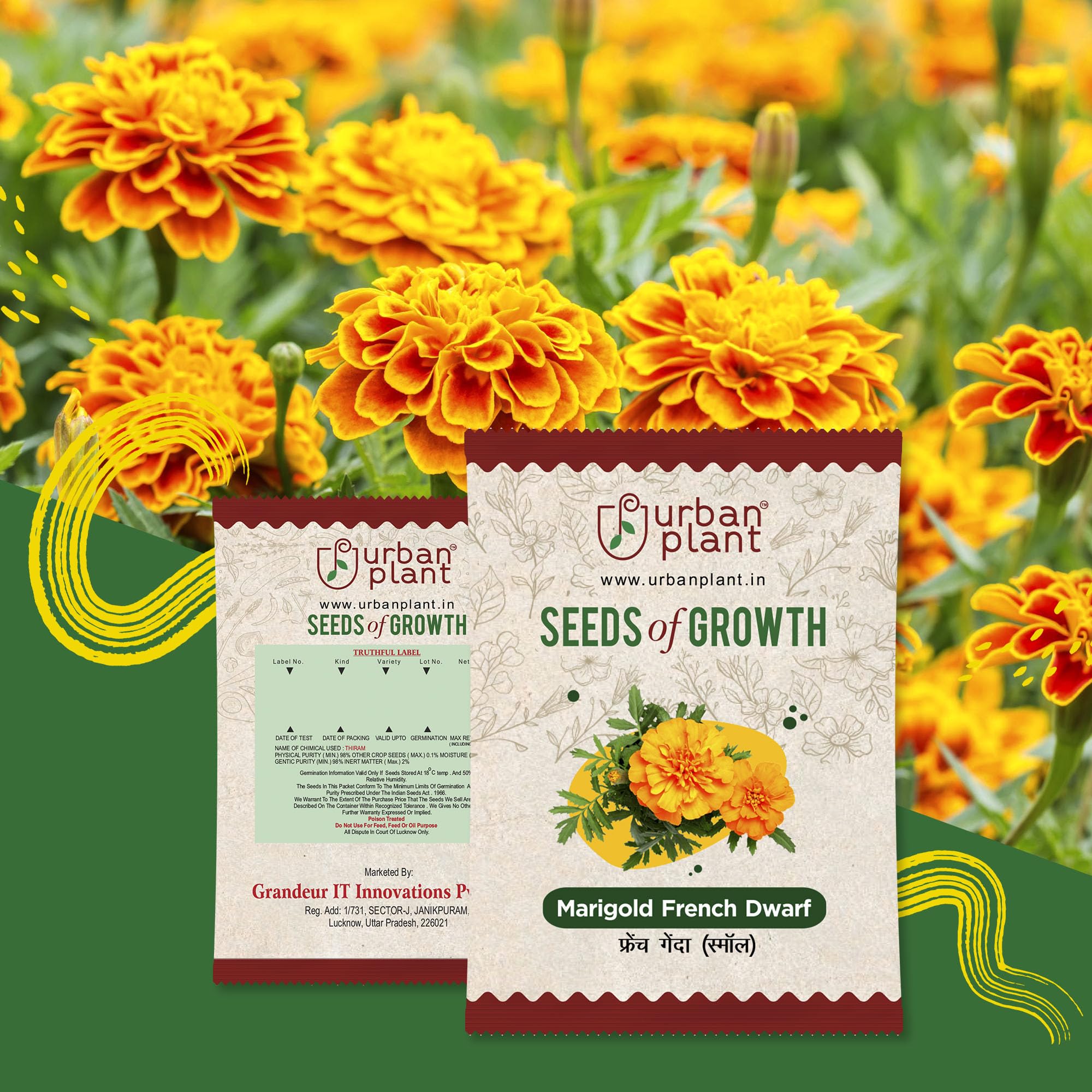 See full amazon price history chart for Urban Plant Flower Seeds for Garden | Fresh Healthy Seeds | High Germination Rate (Marigold French Dwarf) Urban Plant Flower Seeds for Garden | Fresh Healthy Seeds | High Germination Rate (Marigold French Dwarf) (B0CCP8K7WN) Amazon Price History, Amazon Price Tracker