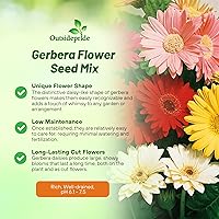 Vista 87 de Outsidepride Bicolor Mix Gerbera Seeds - 10 Pcs Perennial, Compact & Low Maintenance, Flower Seeds for Planting w/Vibrant Mixed Blooms, Ideal for