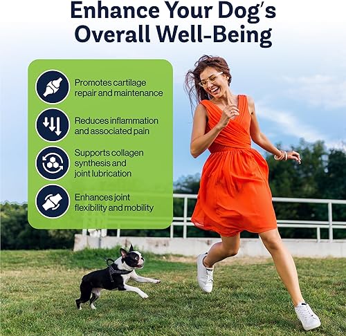 Miniatura 4 de LVL Up Pup - Suplemento para articulaciones de perros mayores - Suplemento de cadera y articulaciones para perros con glucosamina, condroitina, MSM