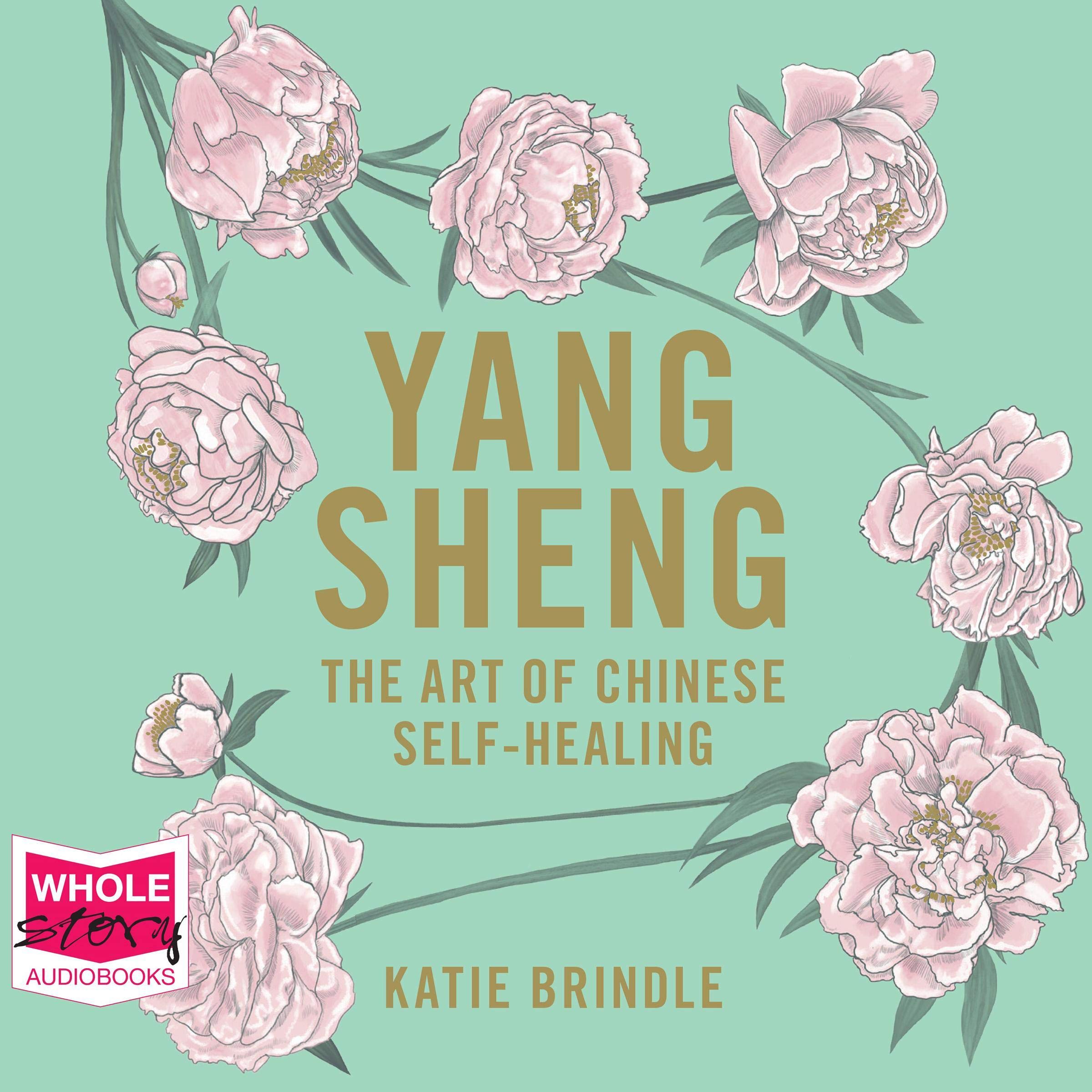Cover art for Yang Sheng