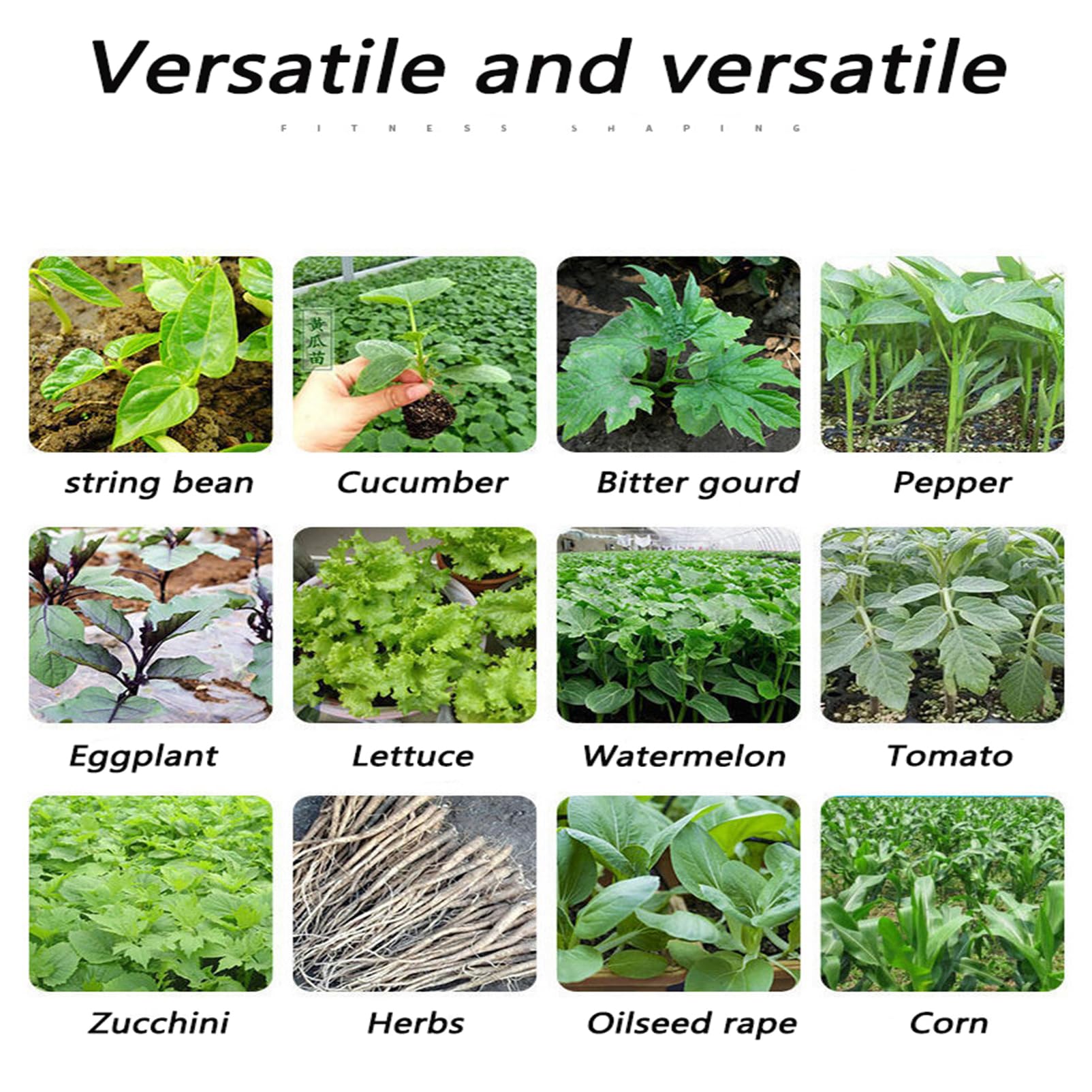 Seminatrice Manuale,Multifunzionale Trapiantatrice Ortaggi,Attrezzi da Giardino,Piantine Attrezzo, Manico Singolo,Ferro,Facile da Usare