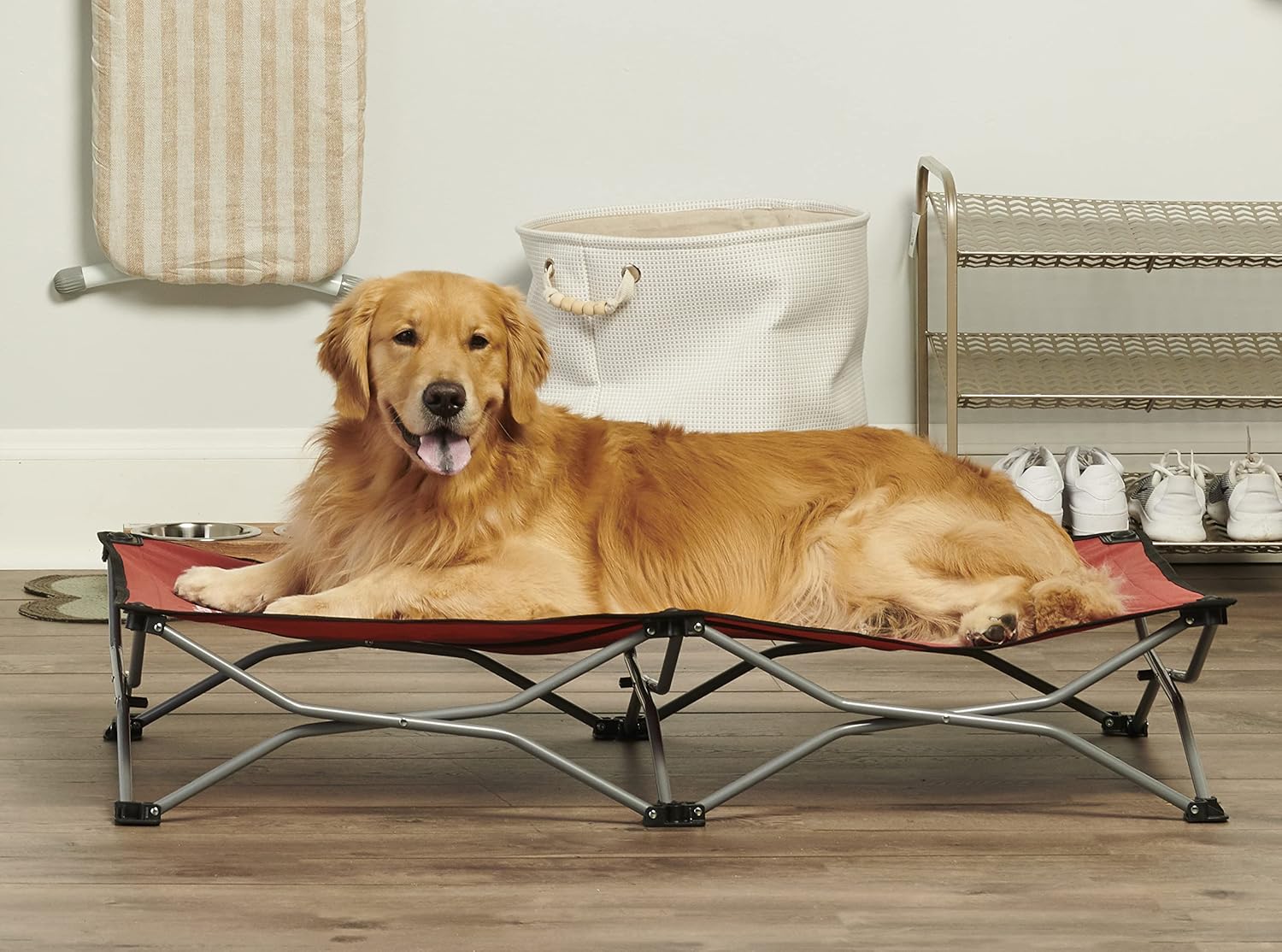 Carlson Pet Products Carlson Elevated Dog Bed, Indoor or