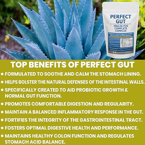 Miniatura 3 de Perfect Gut Polvo de inulina FOS para la salud intestinal. Inulina prebiótica. Fibra de agave de inulina prebiótica única 95% FOS