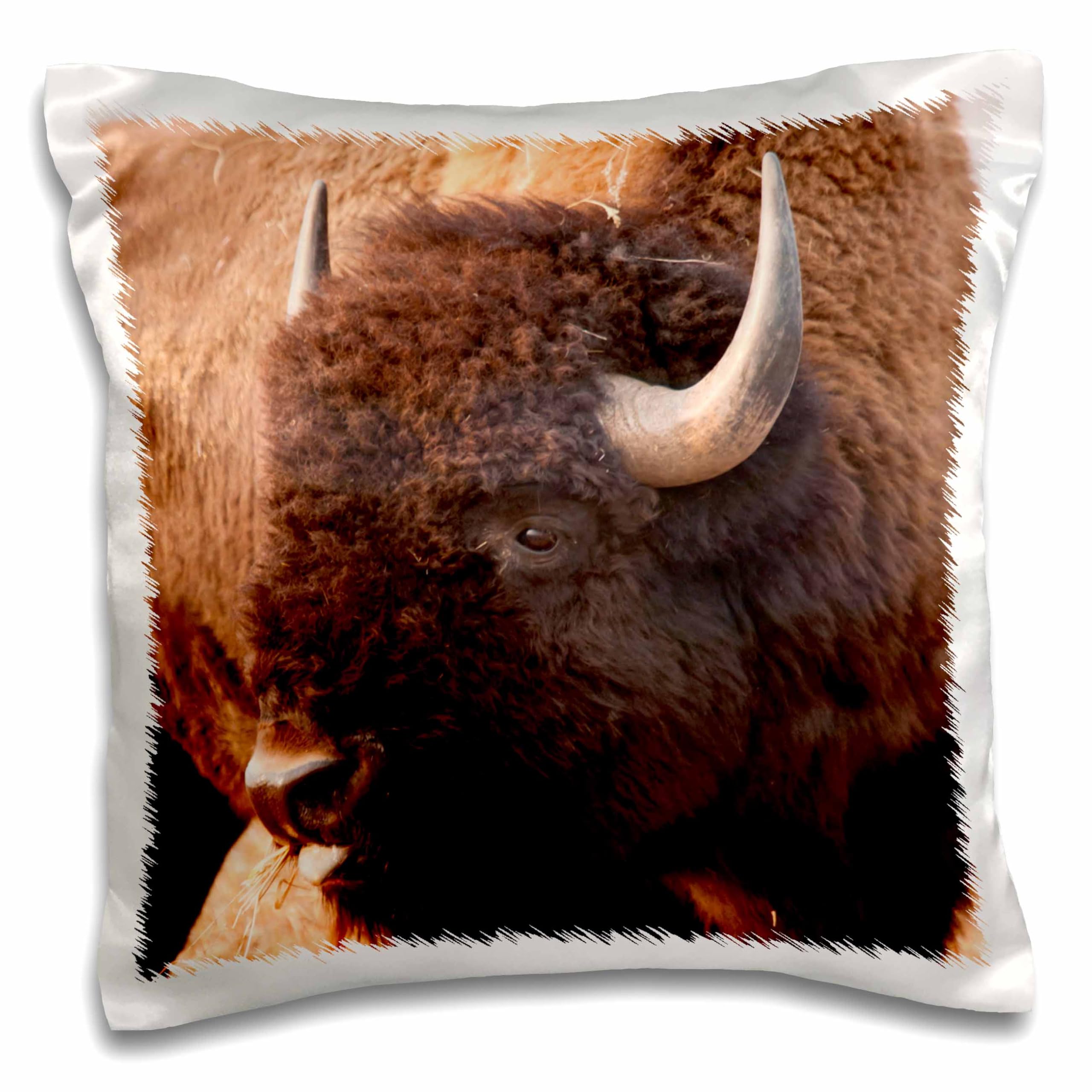 3dRose pc_191355_1 American Bison Herd in Teton NP, Wyoming, USA - Pillow Case, 16 by 16"
