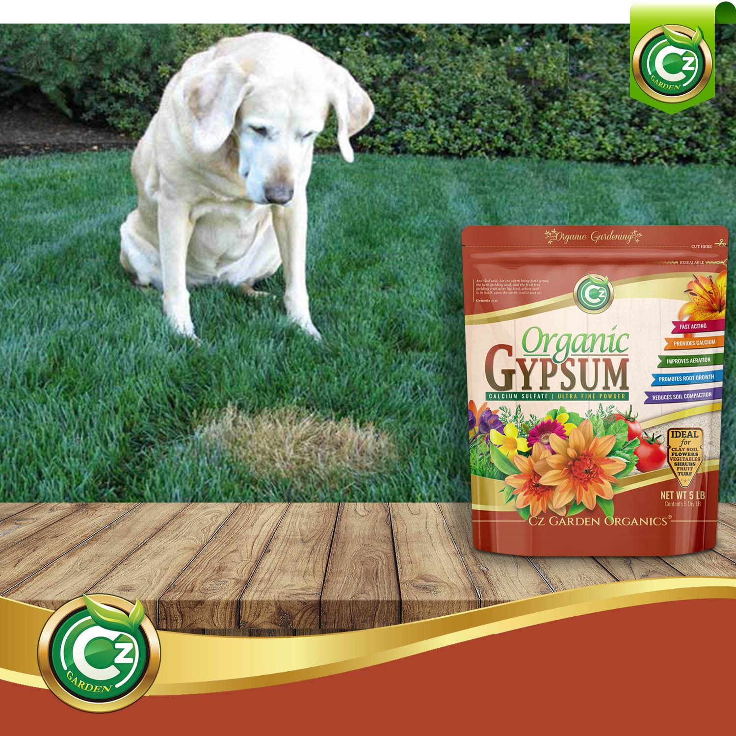 Is Calcium Sulfate Safe For Dogs