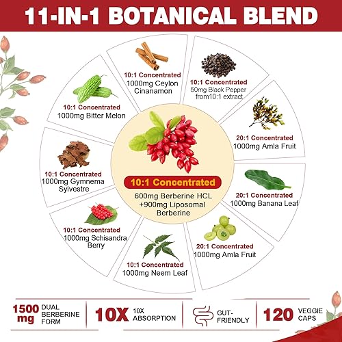 Miniatura 3 de Suplemento de berberina orgánico de 1500 mg con melón amargo de canela de Ceilán, suplementos de complejo liposomal de berberina HCL, apoyo