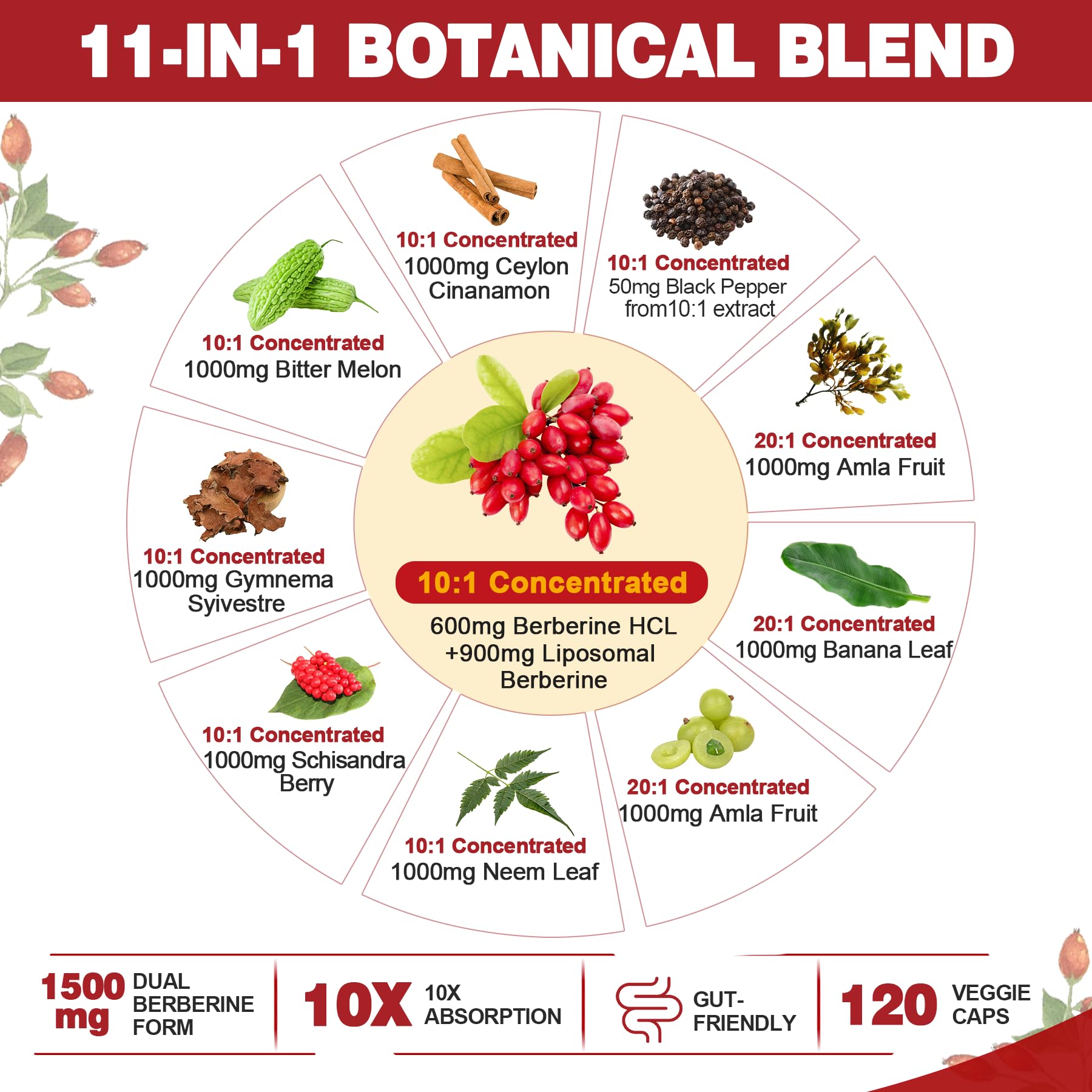 Berberine Supplement Organic 1500mg with Ceylon Cinnamon 120 Vegan Capsules — Amazon image 3