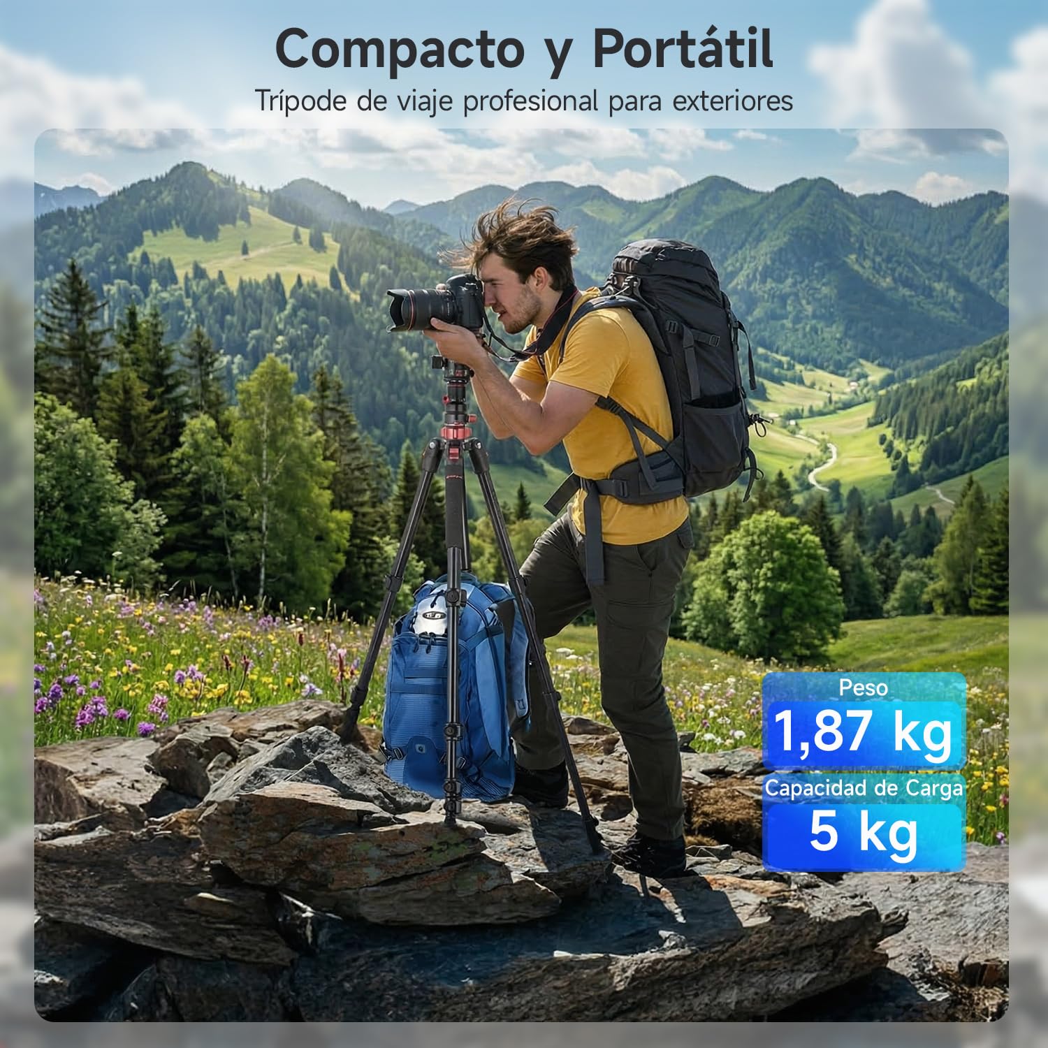 Rollei Tripode Camara 213cm con Brazo Extensible de Aluminio | Trípode Compact Traveler No.2 XL Photo con Rótula de 360° y Función de Monopié 5kg Carga Tripod con Soporte para Móvil