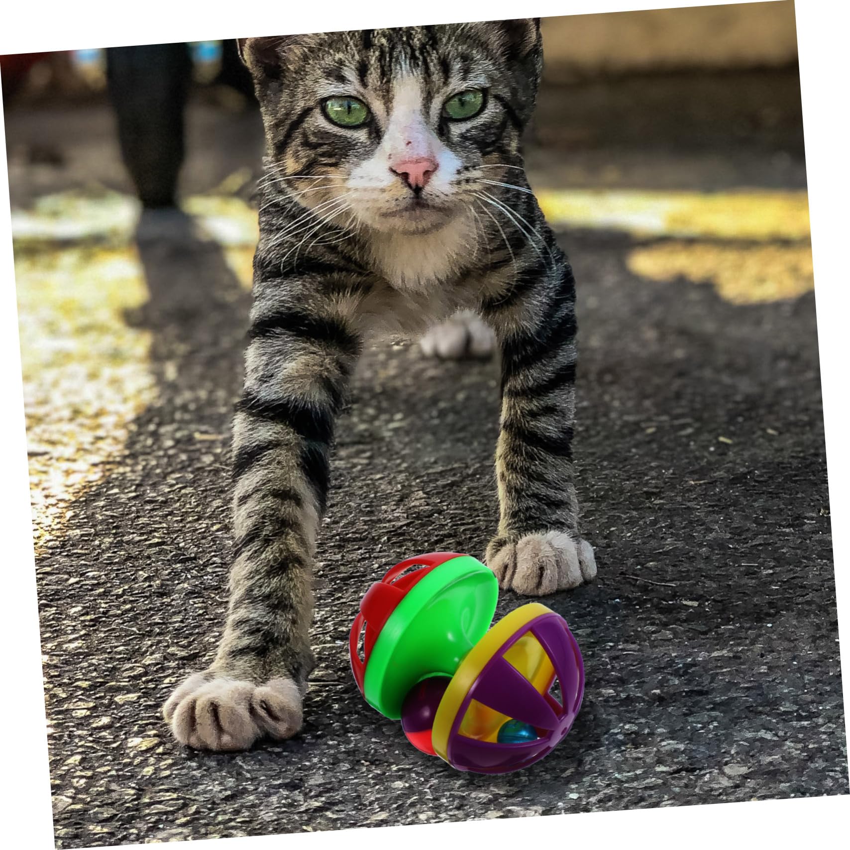 DOITOOL 12 Piezas De Juguetes Suministros para Mascotas Bumbells De Juguete para Gatos Pelotas para Gatos Pelotas De Juguete Pelotas para Gatos Juguetes para Gatos Pelota De Burla