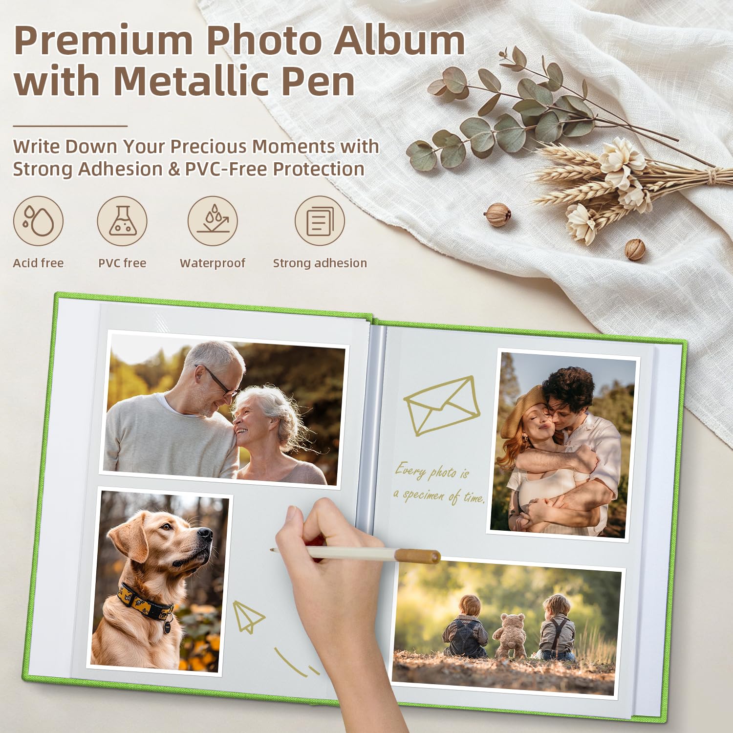 Popotop Clip Photo Holders