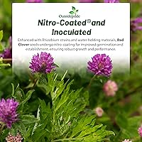 Vista 7 de Outsidepride Semillas de trébol rojo perenne con semilla de trébol carmesí – 10 libras. Semillas de trébol autosembrado, recubiertas nitrográficas