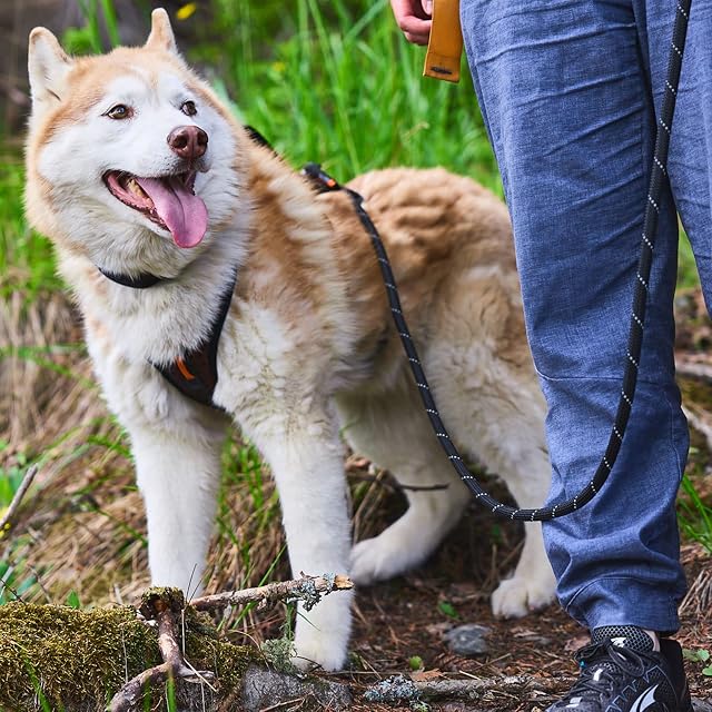 Foto 6 de 6 de Non-stop dogwear Rock Leash Adjustable Black - Multiline, leicht verstellbarL8