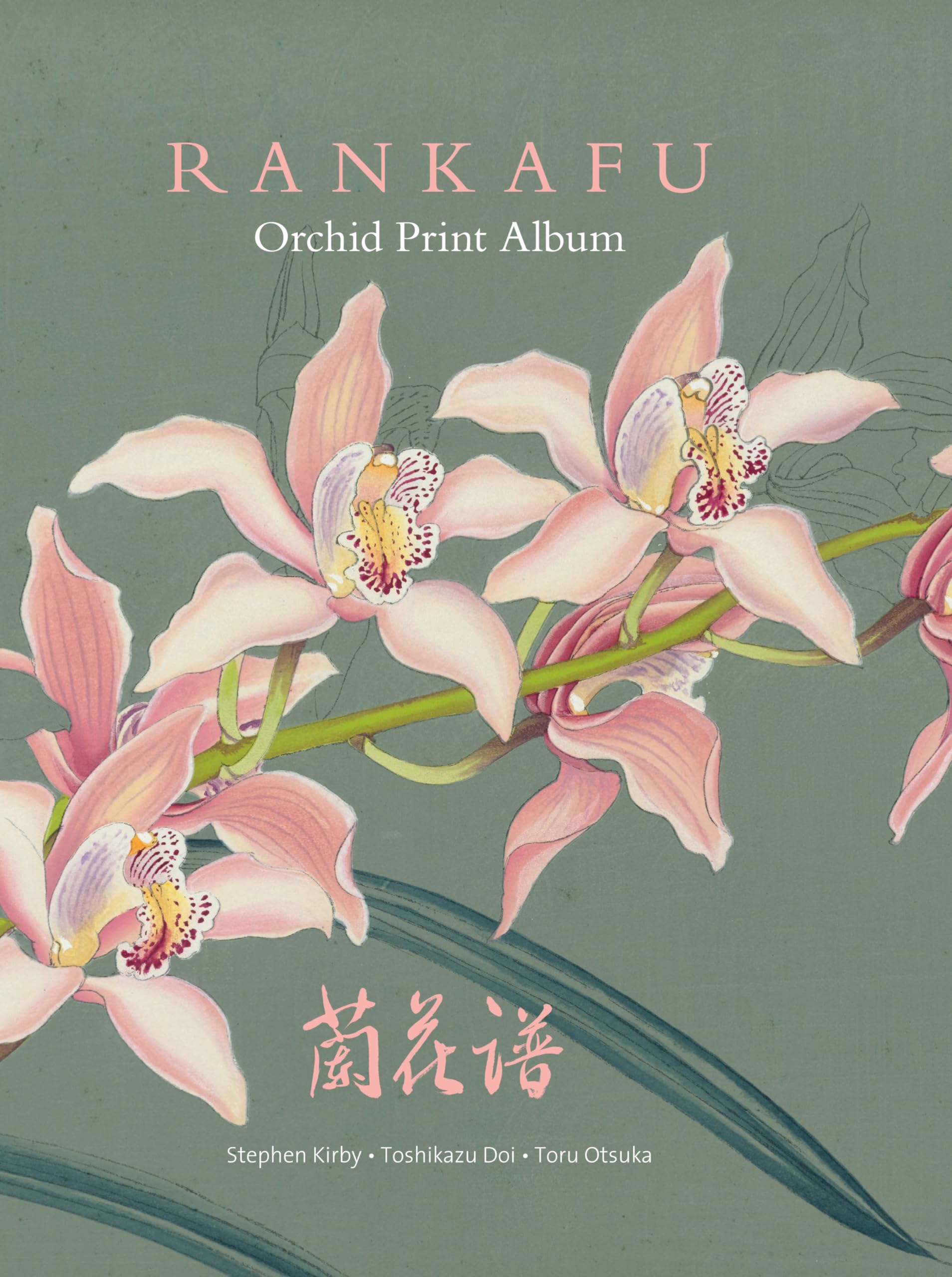 Estampes japonaises d'orchidées Rankafu pour décorer un salon zen élégant