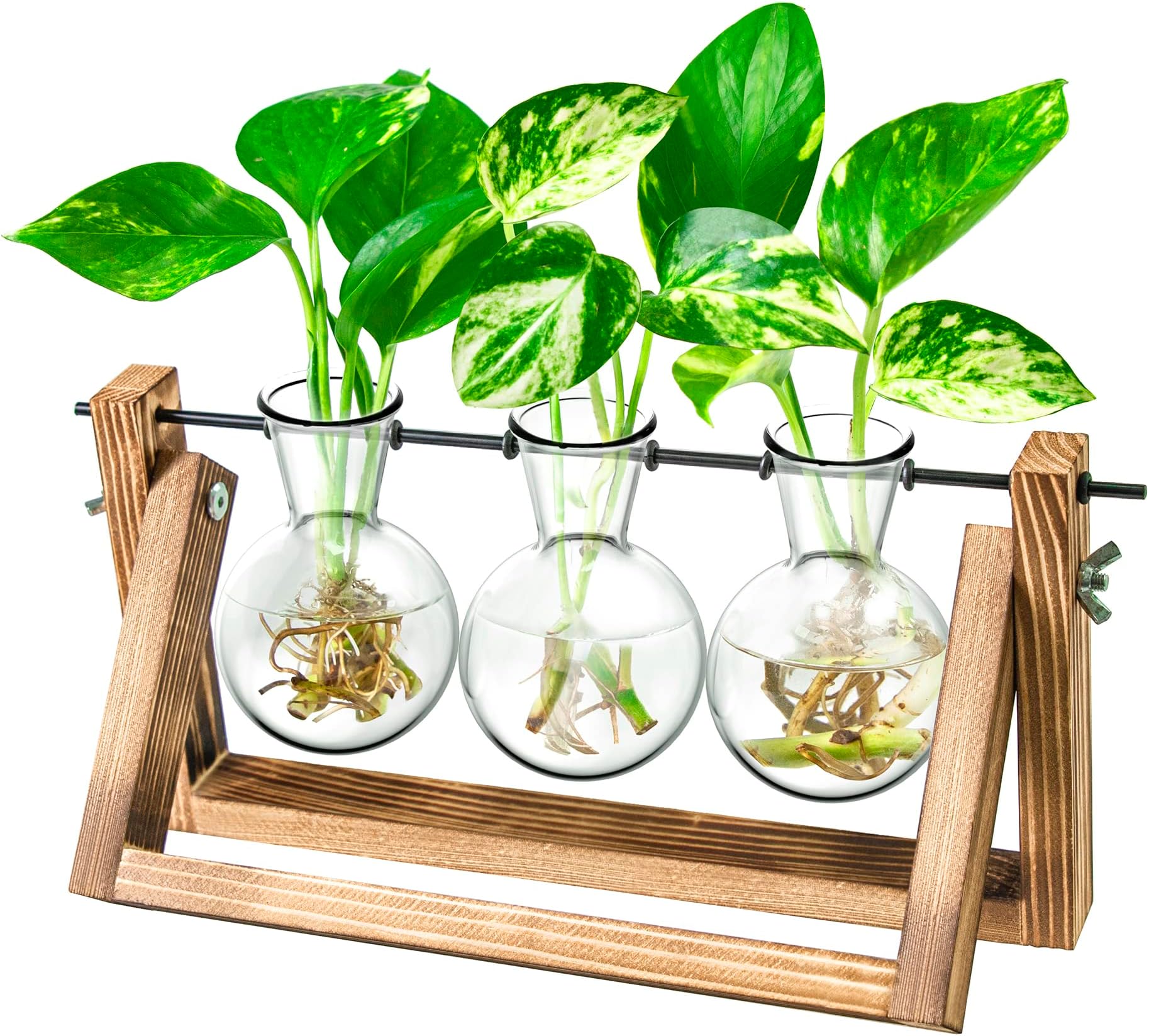 Gifts for Mum,Plant Propagation Station, Plant Terrarium,Gifts for Women Plant Lovers,Plant Cutting Holder Home décor,Plant Starter for hydroponic Plants,House Warming Gifts New Home for her