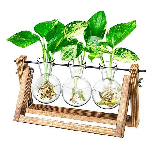 Propagation Station, Plants Terrarium, Plants Lover Gifts for Women,Plant Cutting