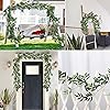 Product Photo 8