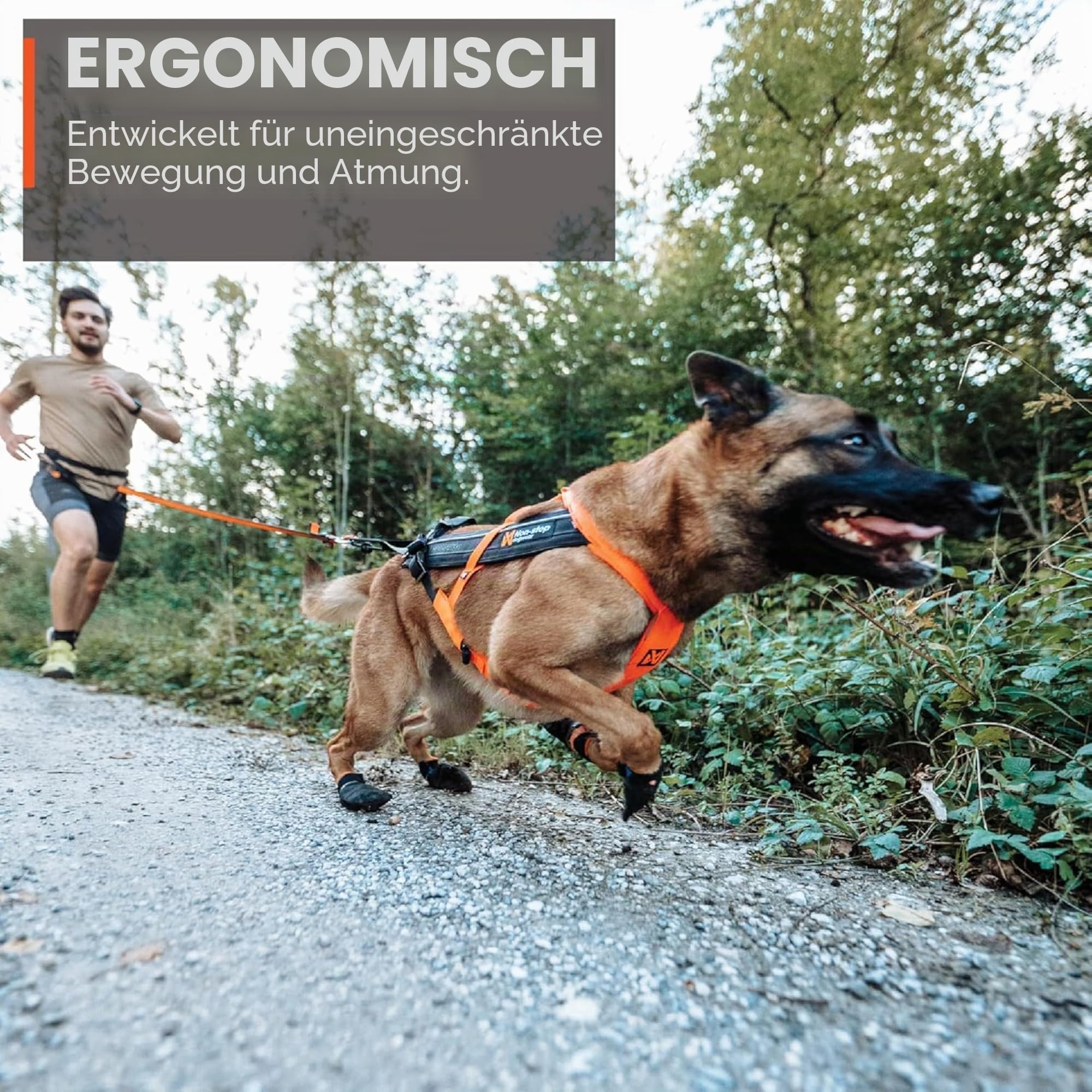 Non-Stop dogwear FREEMOTION Harness 5.0 |111| Hundegeschirr für alle Sportarten, Größe:7