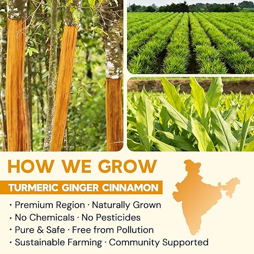 Miniatura 3 de Bolsas de té de cúrcuma, jengibre y canela, sin azúcar, sin cafeína, 120 unidades