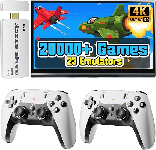 Video Game Consoles & Accessories