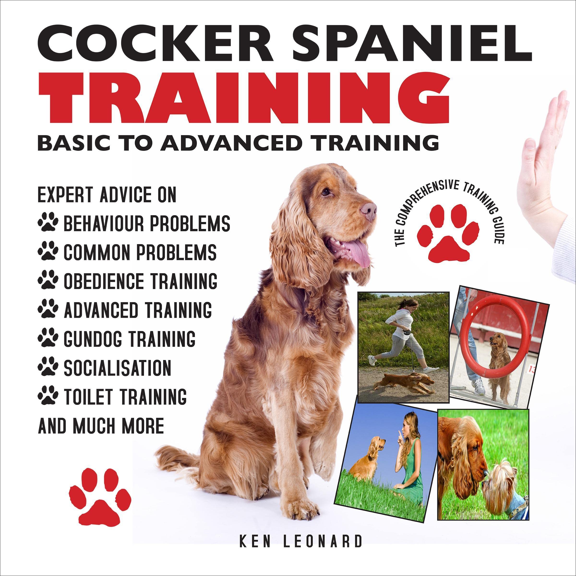 Cocker Spaniel Training