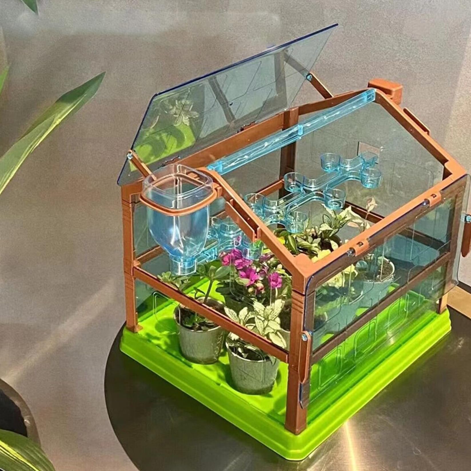 Kit de Plantas para niños, Kit de Cultivo de Plantas para niños con Sistema de riego, jardinería educativa para y niñas, sin Semillas ni Tierra, Doble Cubierta