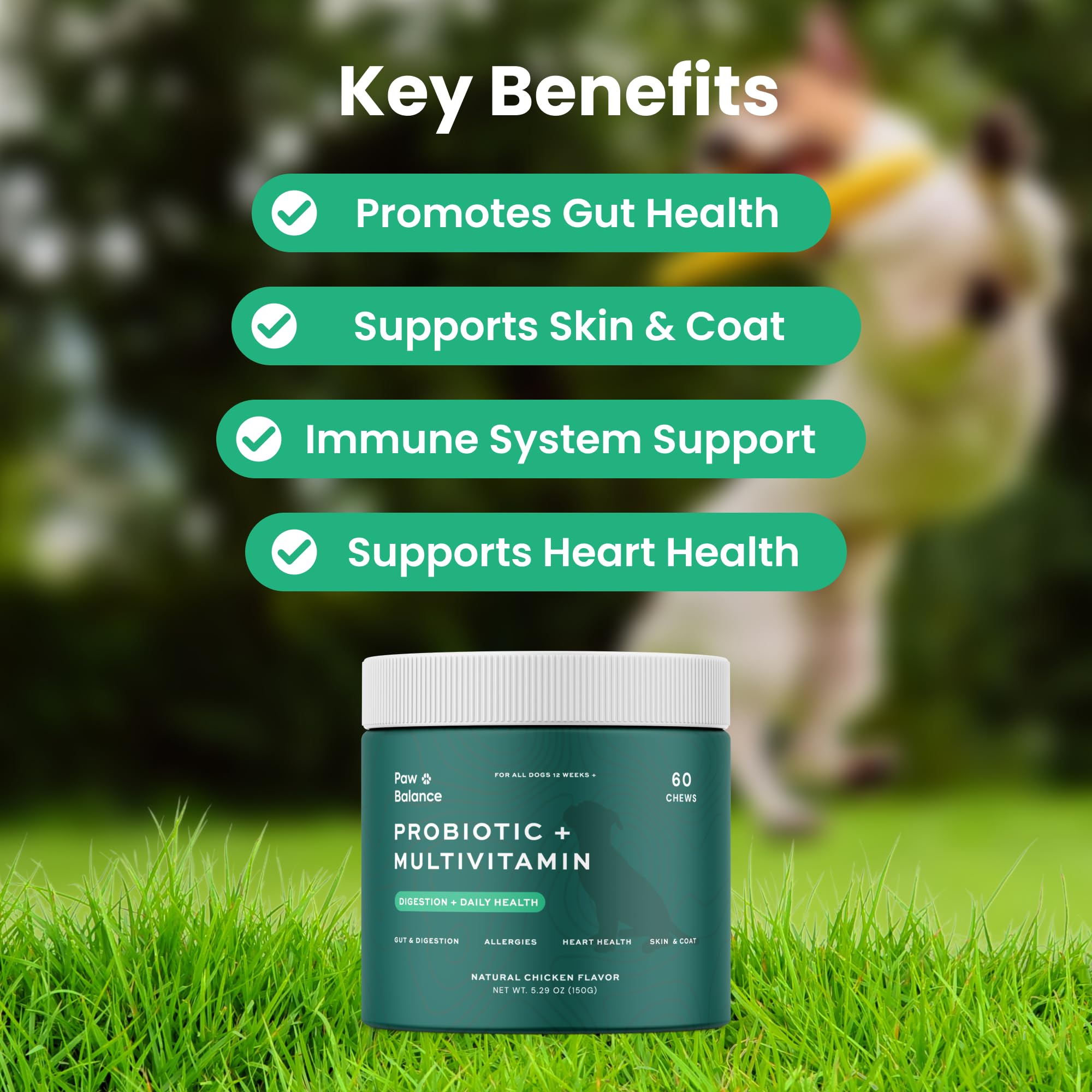 Dog Probiotics and Multivitamin Chews for Digestive Health, Immune Support, Gut Health, Allergy Support, Dog Vitamins, with Vitamin C, Omega 3, Colostrum, 60 Soft Chews per Jar — Amazon image 2