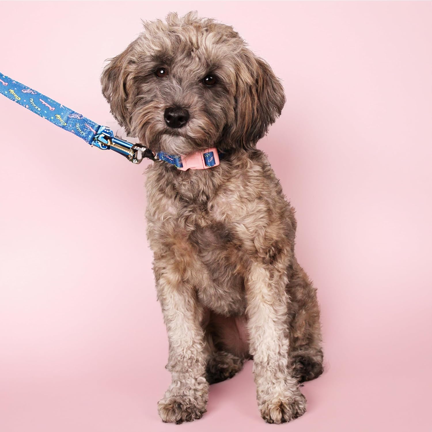 Mean Girls, Dog Collar, Pink Bandana & Leash Set, for Small Dogs | Official Merchandise, Pink Gift Set with Leash, Collar & Fun Dog Accessories From the Mean Girls Movie