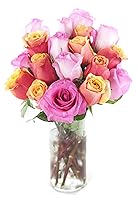 Vista 6 de KaBloom - Rosas arcoíris (media docena)- Flores frescas para cumpleaños, San Valentín y Día de la Madre