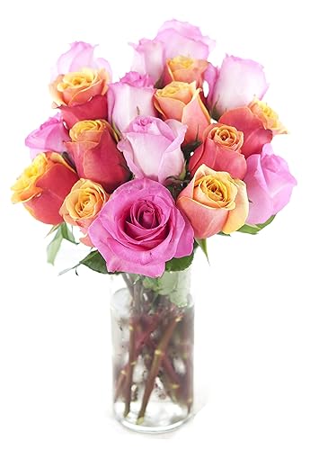 Miniatura 7 de KaBloom ENTREGA PRIMA AL DÍA SIGUIENTE - Colección Otoño - Ramo de 18 Rosas Naranja Frescas Cortadas (Frescas de Granja, Tallo Largo) con Jarrón.