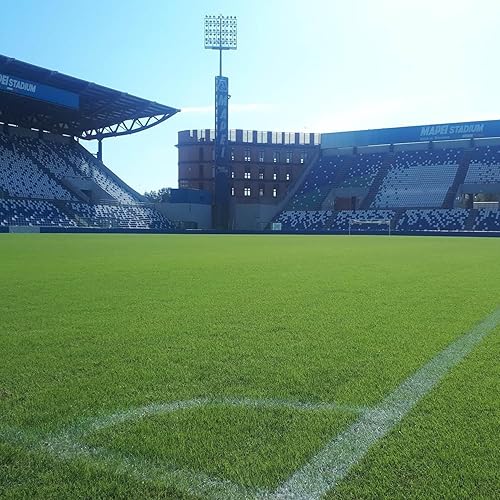 Miniatura 3 de Outsidepride Semilla de césped y césped tolerante a la sequía de 2 lb de Mónaco (de Riviera) Bermuda