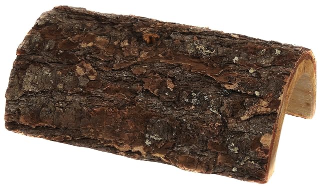 Zoo Med Cabaña Habba, Tocón de Madera Decorativo para Terrario, Escondite Natural para Reptiles, XL
