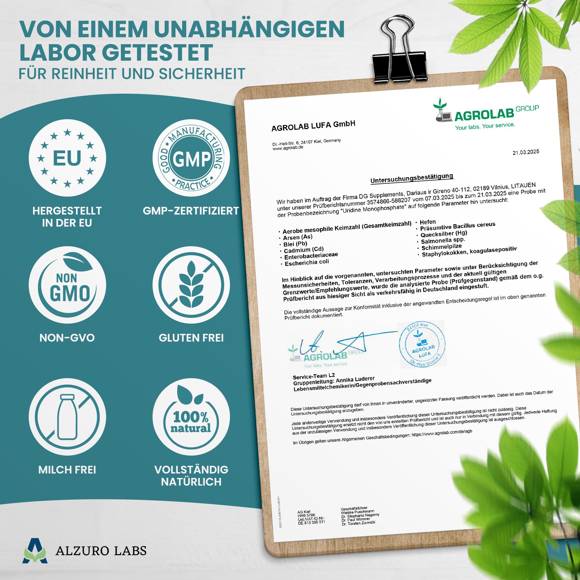 Uridinmonophosphat | 250 mg | Hochdosiert, ein Inhaltsstoff | 60 vegane Kapseln | 2-Monats-Vorrat | Uridine Monophosphate | GMP & Laborgeprüft