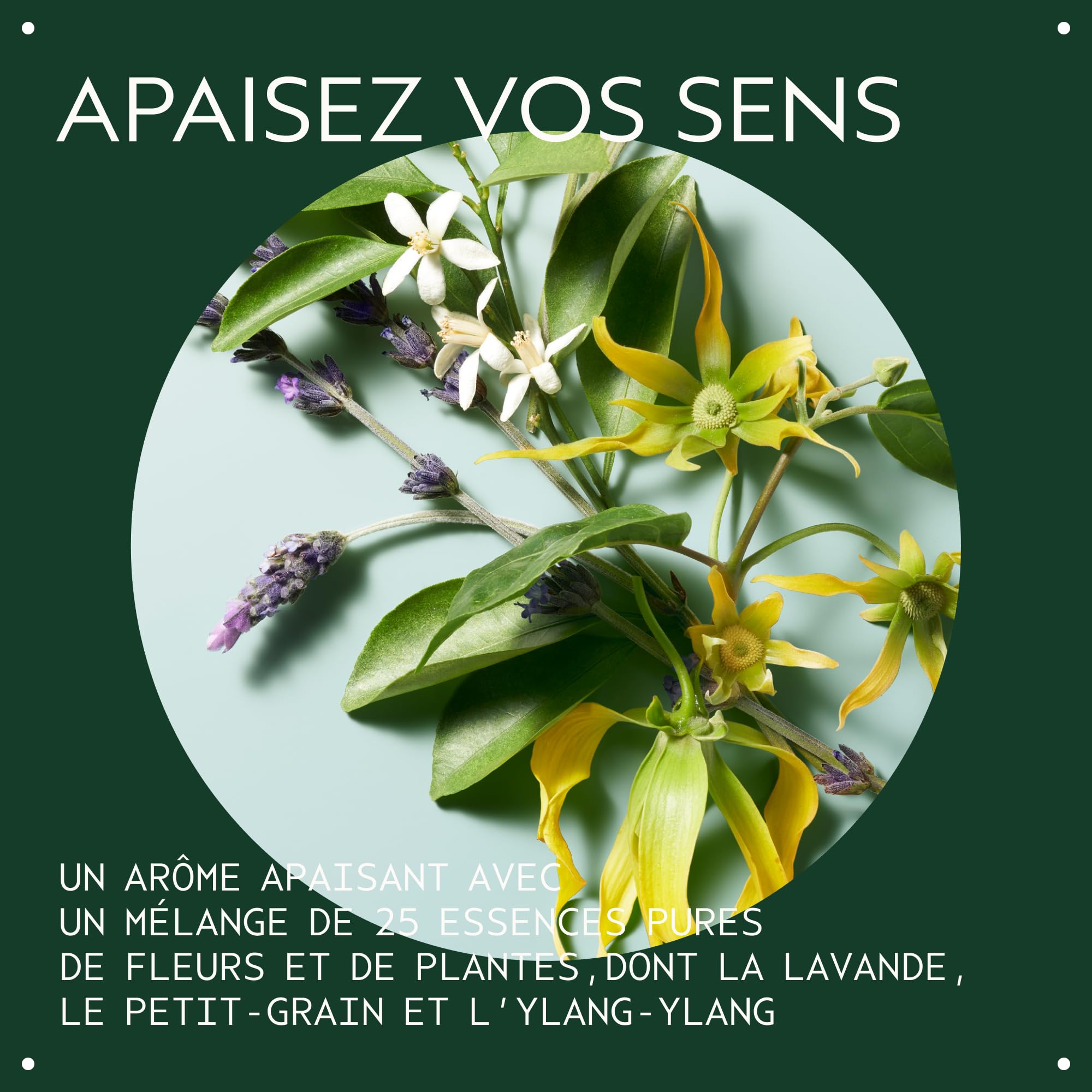 Aveda Shampowder Shampoing Sec | Sans aérosol | Volume et texture | Shampoing sans rinçage | Pour cheveux fins | Arôme lavande, 56 g