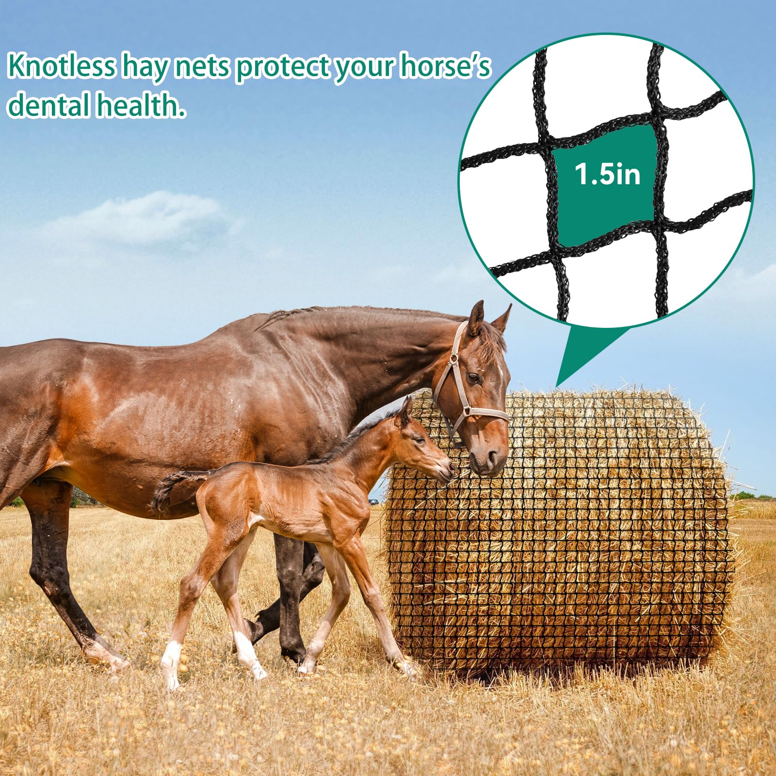 Red de heno Redonda para Caballos, 5 x 5 pies, sin Nudos, alimentación Lenta para Ganado, Red de heno Grande de Calibre Pesado para Caballos, Ganado, ovejas en Granjas y pastos