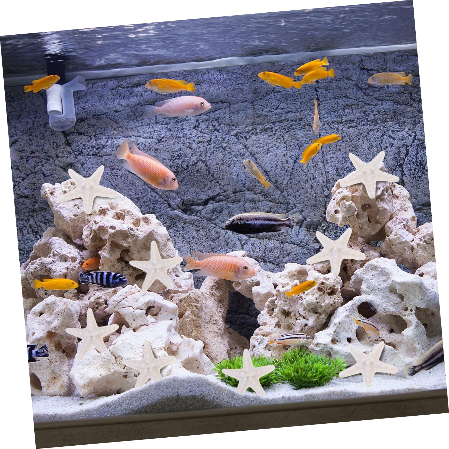 ABOOFAN 125 Pcs Simulation Étoiles De Mer Ornements Décorations D'Aquarium Nautique Étoiles De Mer Nautiques Décor De Style Hawaïen Thème De Plage Décor De Mariage Ornements D'Étoiles De