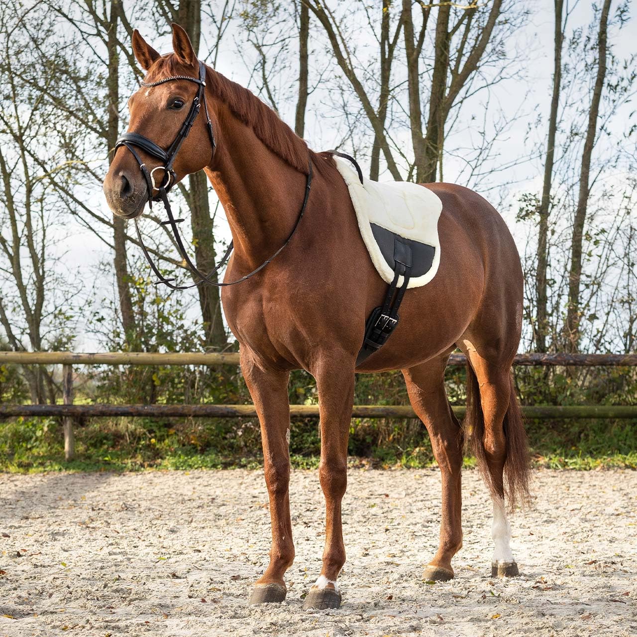 ARBO-INOX Bareback Pad Reitpad – Angenehmer Halt und Komfort – Kunstfell cremefarben