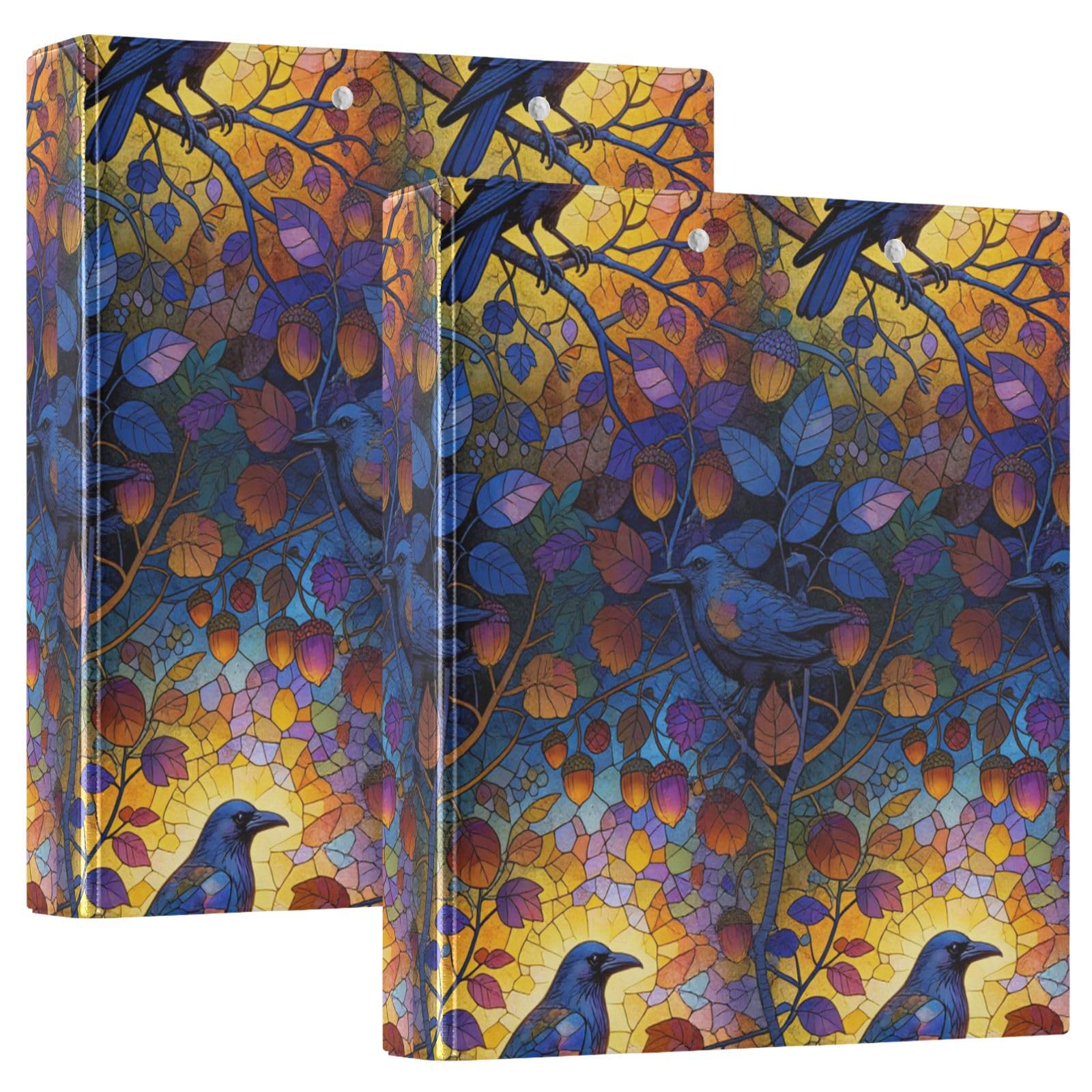 Raccoglitore con anelli a D da 3,8 cm con copertina rigida in vetro