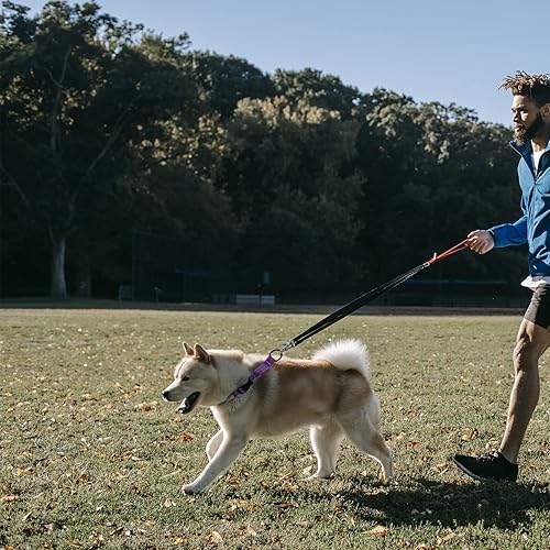 Miniatura 7 de LUCKYDC Collar Martingale para entrenamiento de perros. Collares reflectantes ajustables con hebilla, bandera de Estados Unidos, sin tirones, evita