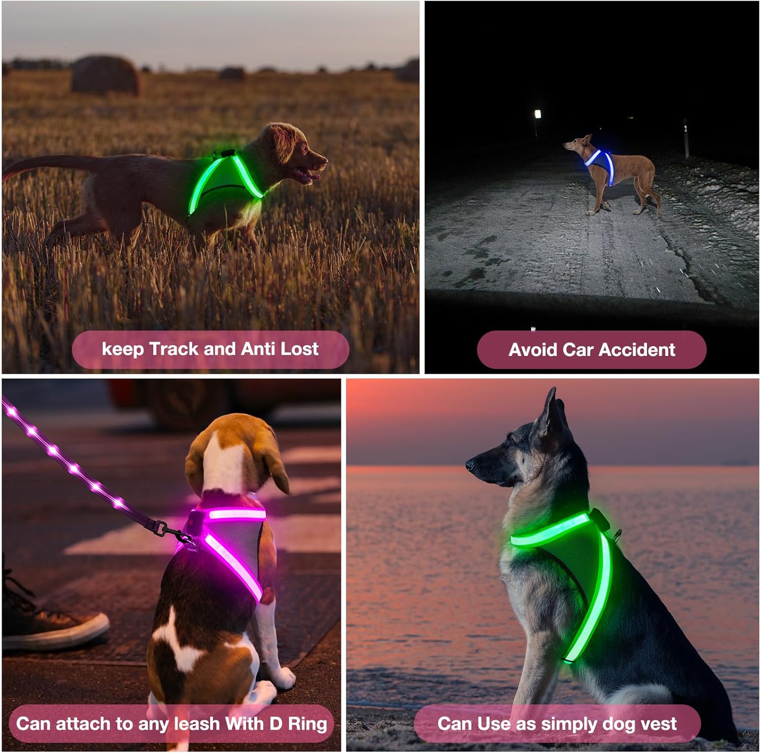 ChalkLit Light Up Dog Harness, No Pull Led Dog Harness Glow-in-The-Dark for Night Walking, USB Rechargeable Lighted Safety Vest for Medium Large Dogs, Adjustable Soft Mesh Fully Illuminated(Pink, L)