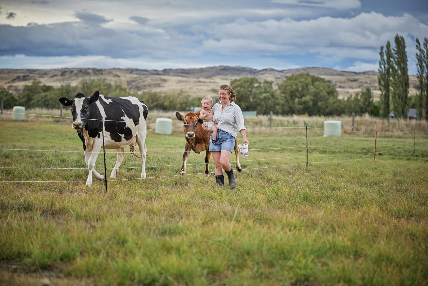 Gallagher Smart Fence 2 | Portable Electric Fence for Livestock Containment | Quick Install Temporary Field Fencing | 328ft of 4-Strand Electric Fencing with Built-in Posts and Reels