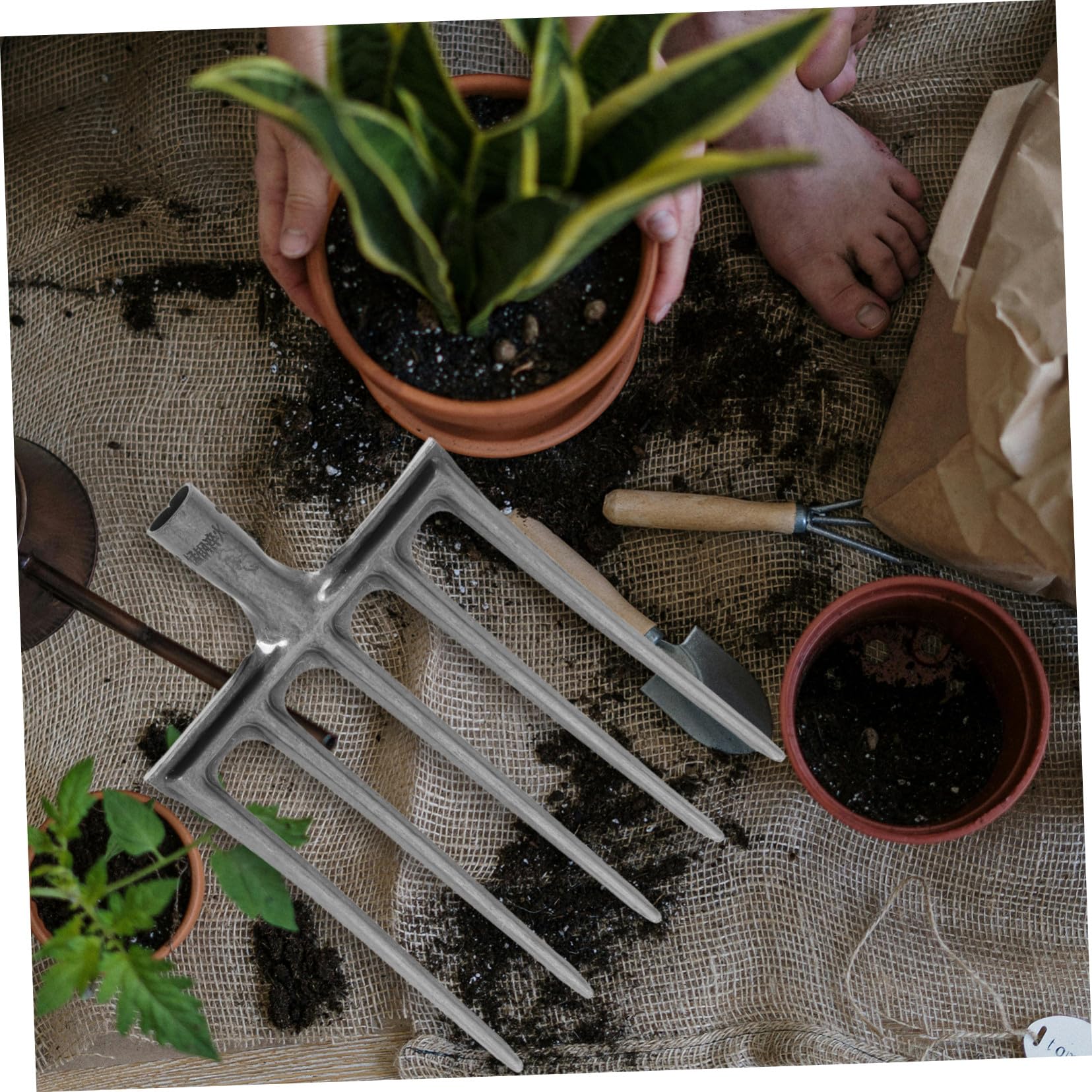 Abaodam Forcone da Giardino in Acciaio Argento a 4 Denti per Lavori Agricoli e Vangatura del Terreno, Resistente e Versatile per Attività di Coltivazione e Cura del Suolo