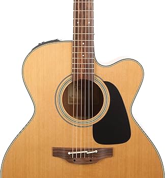 Cooler by Takamine アコースティックギター Takamine Made in Japan FXC Grand Concert Acoustic Electric Guitar