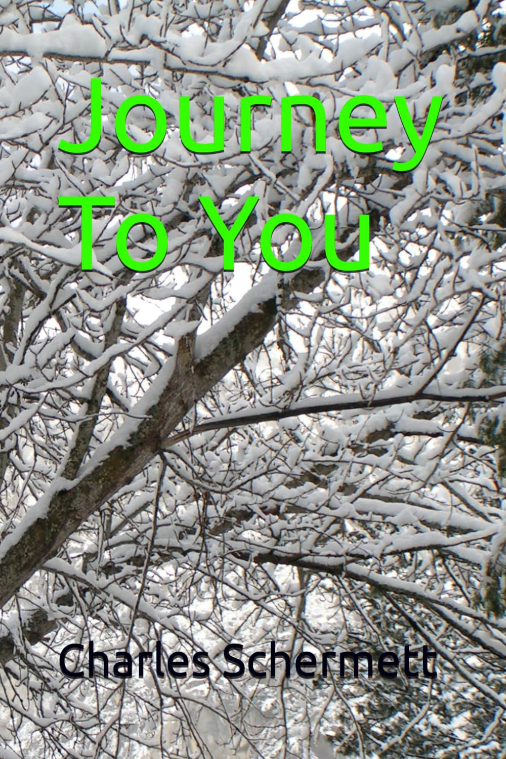 Journey To You (Journey's Dilema)