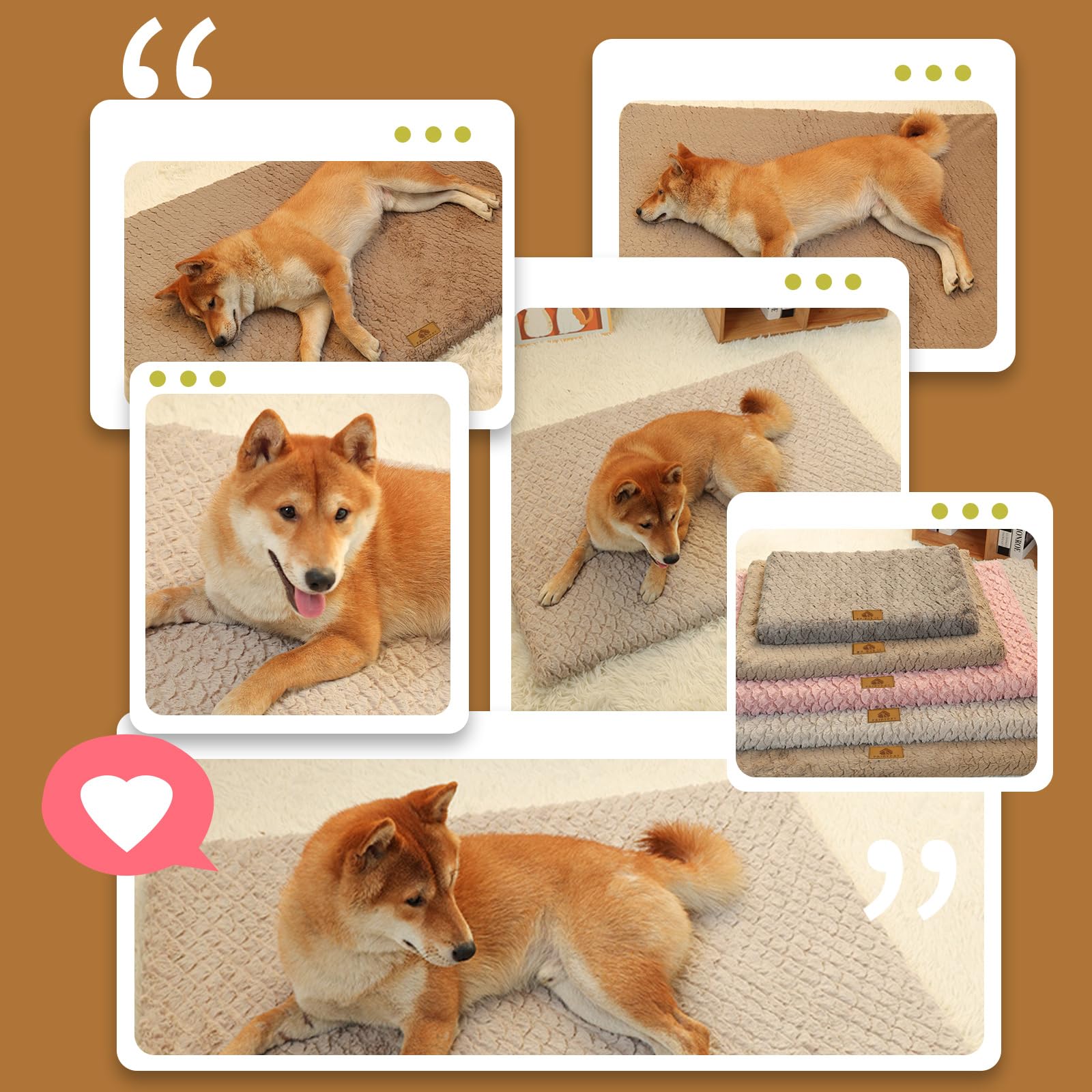 PETCUTE Tapis Chauffant Chat Chien,Coussin Auto-Chauffant Chat avec Couverture Amovible et Lavable,Tapis Thermique pour Chat et Petits Chiens,Antidérapant,Tapis pour Chat Chaud pour Intérieure