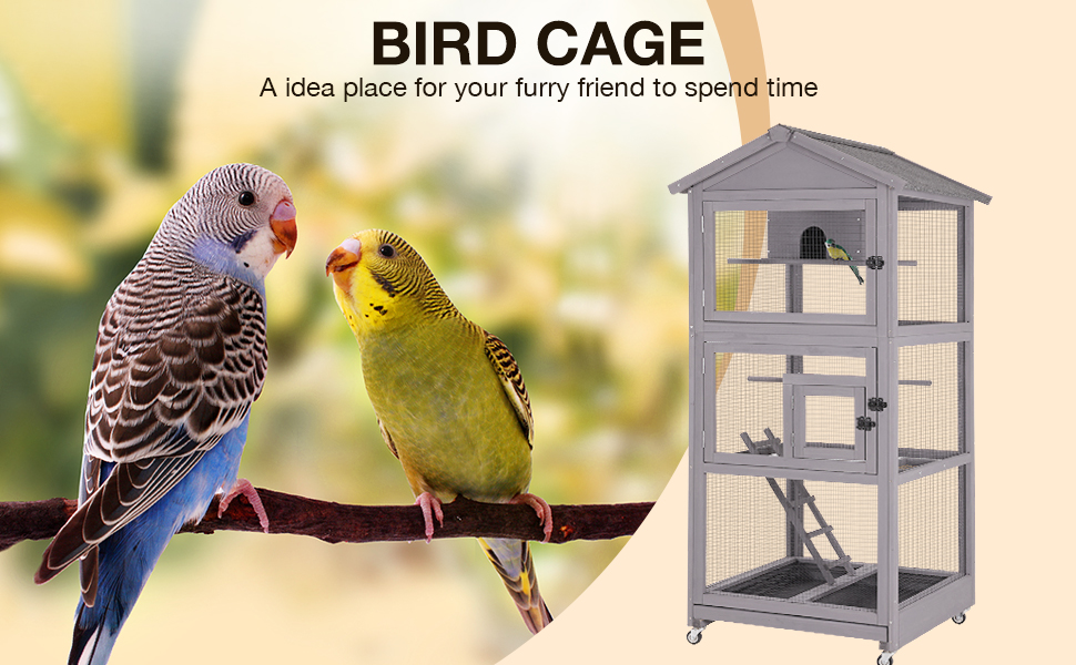 How to Build a Bird Cage for Parakeets: Easy DIY Guide